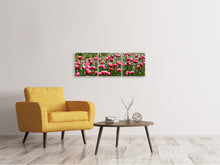 Laden Sie das Bild in den Galerie-Viewer, Panorama Leinwandbild 3-teilig Wildes Tulpenfeld
