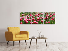 Laden Sie das Bild in den Galerie-Viewer, Panorama Leinwandbild 3-teilig Wildes Tulpenfeld
