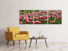 Laden Sie das Bild in den Galerie-Viewer, Panorama Leinwandbild 3-teilig Wildes Tulpenfeld
