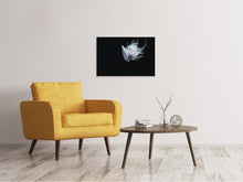 Laden Sie das Bild in den Galerie-Viewer, Leinwandbild Faszinierende Qualle XL