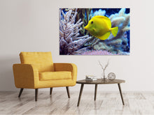 Laden Sie das Bild in den Galerie-Viewer, Leinwandbild Gelber Doktorfisch XL