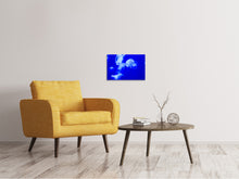 Laden Sie das Bild in den Galerie-Viewer, Leinwandbild Schwebende Quallen