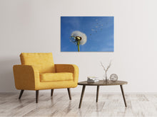Laden Sie das Bild in den Galerie-Viewer, Leinwandbild Pusteblume - ich wünsch mir was