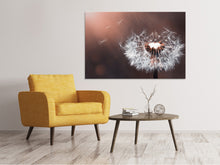 Laden Sie das Bild in den Galerie-Viewer, Leinwandbild Pusteblume im Abendlicht