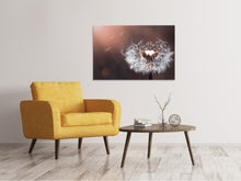Laden Sie das Bild in den Galerie-Viewer, Leinwandbild Pusteblume im Abendlicht