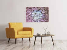 Laden Sie das Bild in den Galerie-Viewer, Leinwandbild Pusteblume im Lichterspiel