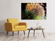 Laden Sie das Bild in den Galerie-Viewer, Leinwandbild Pusteblume im Morgentau