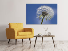 Laden Sie das Bild in den Galerie-Viewer, Leinwandbild Die Pusteblume in XXL