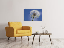 Laden Sie das Bild in den Galerie-Viewer, Leinwandbild Die Pusteblume in XXL