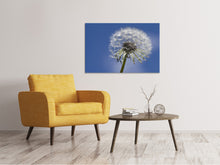 Laden Sie das Bild in den Galerie-Viewer, Leinwandbild Die Pusteblume in XXL