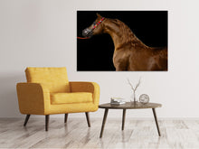 Laden Sie das Bild in den Galerie-Viewer, Leinwandbild Stolzes Pferd