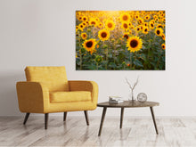 Laden Sie das Bild in den Galerie-Viewer, Leinwandbild Sonnenblumen Feld