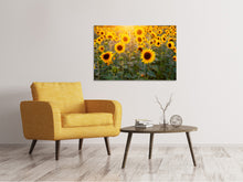 Laden Sie das Bild in den Galerie-Viewer, Leinwandbild Sonnenblumen Feld