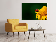 Laden Sie das Bild in den Galerie-Viewer, Leinwandbild Marienkäfer auf der Sonnenblume