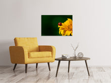 Laden Sie das Bild in den Galerie-Viewer, Leinwandbild Marienkäfer auf der Sonnenblume