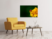 Laden Sie das Bild in den Galerie-Viewer, Leinwandbild Marienkäfer auf der Sonnenblume