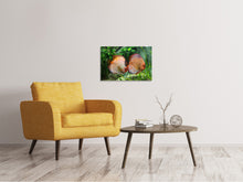 Laden Sie das Bild in den Galerie-Viewer, Leinwandbild 2 Fische