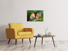 Laden Sie das Bild in den Galerie-Viewer, Leinwandbild 2 Fische