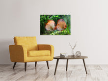 Laden Sie das Bild in den Galerie-Viewer, Leinwandbild 2 Fische