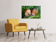 Laden Sie das Bild in den Galerie-Viewer, Leinwandbild 2 Fische