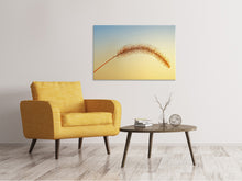 Laden Sie das Bild in den Galerie-Viewer, Leinwandbild Ziergrass in XXL