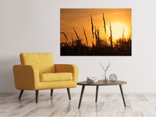 Laden Sie das Bild in den Galerie-Viewer, Leinwandbild Sonnenaufgang auf dem Feld