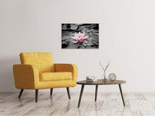 Laden Sie das Bild in den Galerie-Viewer, Leinwandbild Die Kunst der Seerose