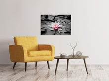 Laden Sie das Bild in den Galerie-Viewer, Leinwandbild Die Kunst der Seerose