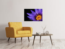 Laden Sie das Bild in den Galerie-Viewer, Leinwandbild XL Seerose in lila
