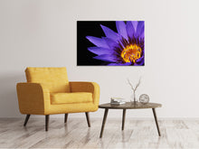 Laden Sie das Bild in den Galerie-Viewer, Leinwandbild XL Seerose in lila