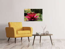 Laden Sie das Bild in den Galerie-Viewer, Leinwandbild Seerose in rot
