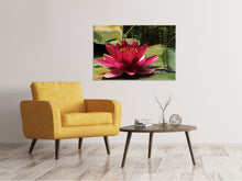 Laden Sie das Bild in den Galerie-Viewer, Leinwandbild Seerose in rot