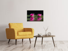 Laden Sie das Bild in den Galerie-Viewer, Leinwandbild Seerosen Duo in pink