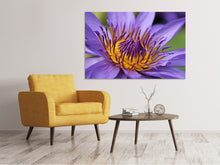 Laden Sie das Bild in den Galerie-Viewer, Leinwandbild XXL Seerose in lila