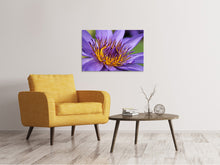Laden Sie das Bild in den Galerie-Viewer, Leinwandbild XXL Seerose in lila