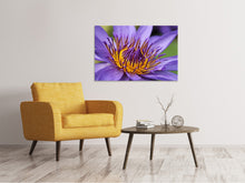 Laden Sie das Bild in den Galerie-Viewer, Leinwandbild XXL Seerose in lila