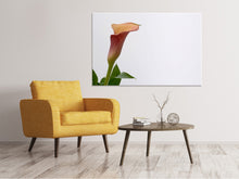 Laden Sie das Bild in den Galerie-Viewer, Leinwandbild Calla in XL