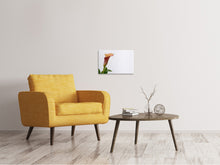 Laden Sie das Bild in den Galerie-Viewer, Leinwandbild Calla in XL