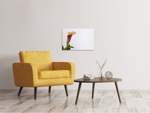 Laden Sie das Bild in den Galerie-Viewer, Leinwandbild Calla in XL