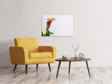 Laden Sie das Bild in den Galerie-Viewer, Leinwandbild Calla in XL
