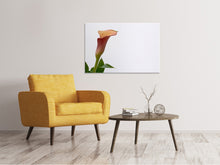 Laden Sie das Bild in den Galerie-Viewer, Leinwandbild Calla in XL