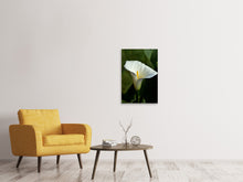 Laden Sie das Bild in den Galerie-Viewer, Leinwandbild Weisse Calla mit Morgentau