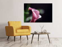 Laden Sie das Bild in den Galerie-Viewer, Leinwandbild Calla in lila