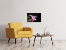 Laden Sie das Bild in den Galerie-Viewer, Leinwandbild Calla in lila