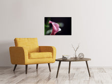 Laden Sie das Bild in den Galerie-Viewer, Leinwandbild Calla in lila
