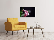 Laden Sie das Bild in den Galerie-Viewer, Leinwandbild Calla in lila