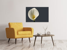 Laden Sie das Bild in den Galerie-Viewer, Leinwandbild Stolze Calla