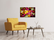 Laden Sie das Bild in den Galerie-Viewer, Leinwandbild Viele bunte Rosenblüten
