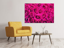 Laden Sie das Bild in den Galerie-Viewer, Leinwandbild Rosenblüten in pink