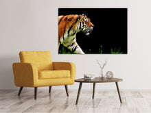 Laden Sie das Bild in den Galerie-Viewer, Leinwandbild Imposanter Tiger